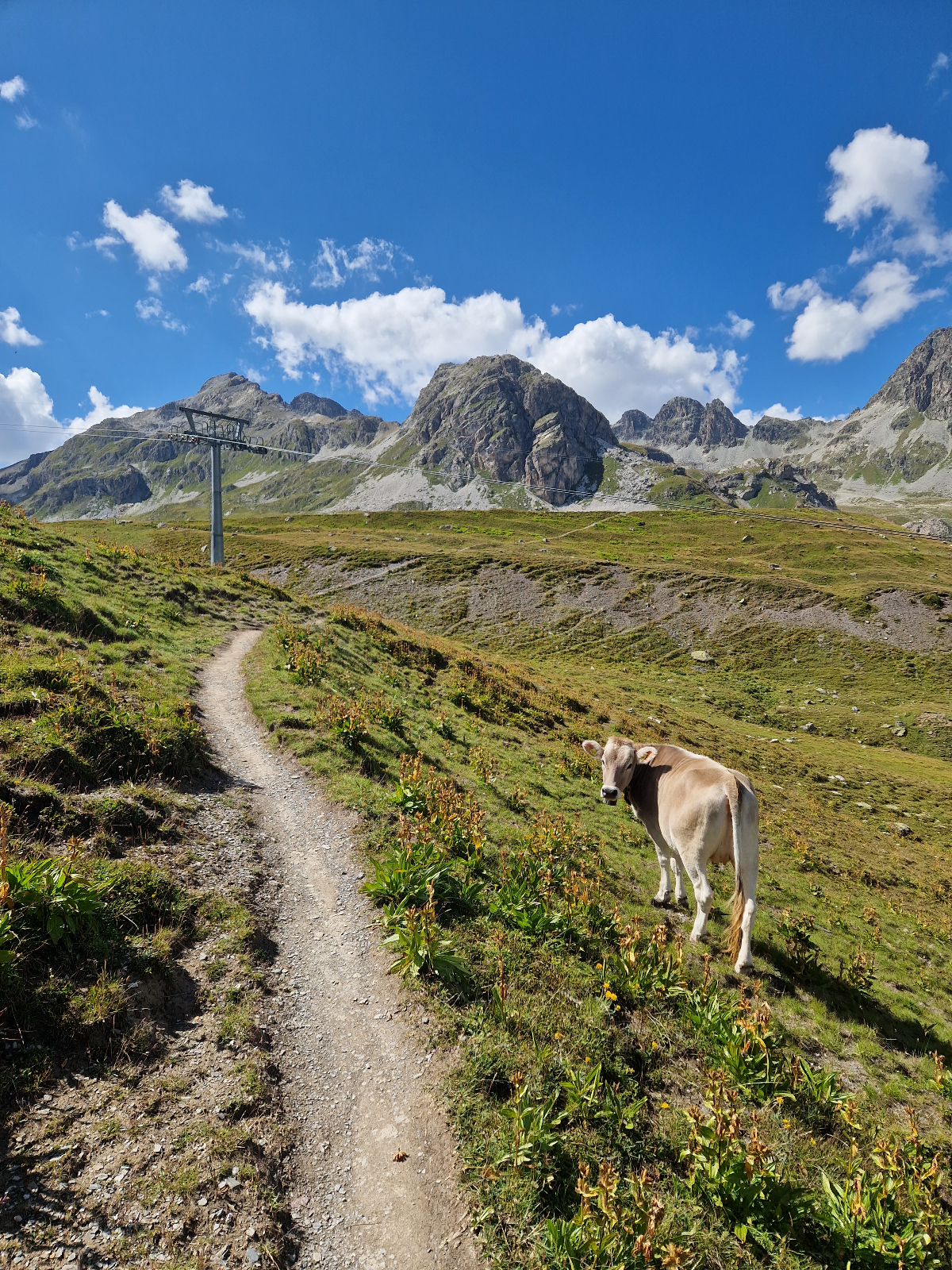 {"caption":"Hiking around  at Corviglia at 2486m altitude","uploader":"Uploaded by: Josefin, Athlete from Finland"}